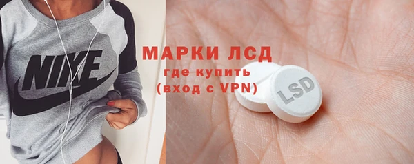 гидра Аркадак