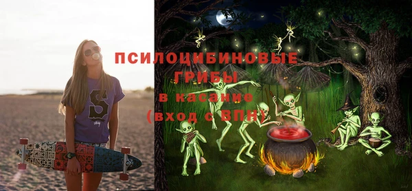 гидра Аркадак
