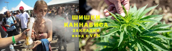 гидра Аркадак