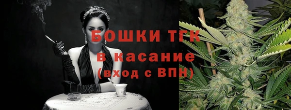 гидра Аркадак