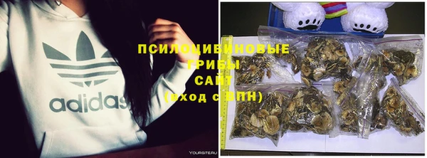 гидра Аркадак