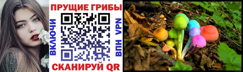 Псилоцибиновые грибы GOLDEN TEACHER  купить наркотик  гидра вход  Белогорск 
