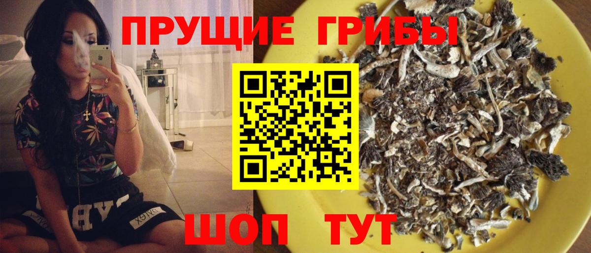 Галлюциногенные грибы MAGIC MUSHROOMS Белогорск