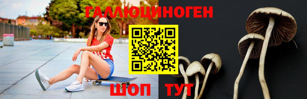 Белогорск  Псилоцибиновые грибы Psilocybe  Вход с VPN 